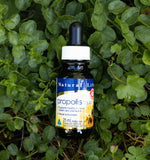 【Natural Life™】 蜂膠液 30mL 40% 有效日期 2026.09 Double Strength Propolis Liquid 30mL